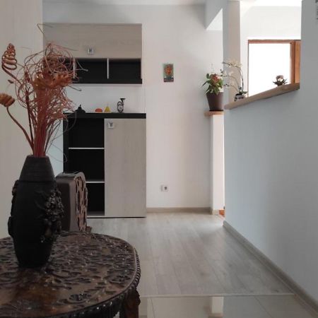 Apartament Trei Stejari Appartement Sibiu Buitenkant foto