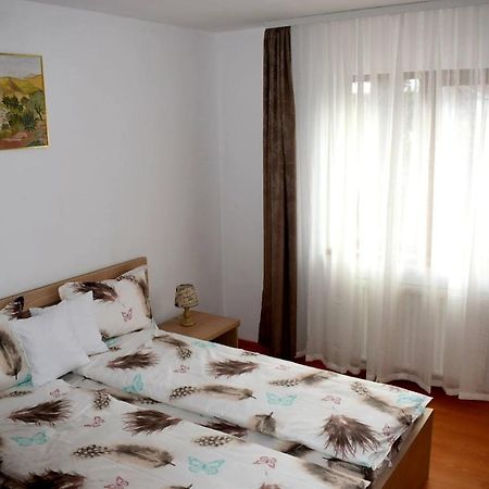 Apartament Trei Stejari Appartement Sibiu Buitenkant foto